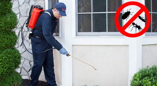Söke Dezenfeksiyon böcek ilaçlama ve haşere kontrolü — ilaclama-tr.com